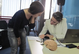 Kurs Uvod u neurolingvistiku - dr Silvia Martinez Fereiro - 24-28.3.2014